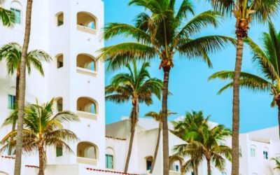 What is Timeshare All About?
